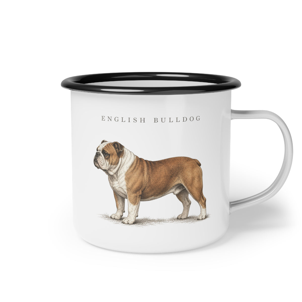 English Bulldog enamel coffee mug with a full-body brown and white Bulldog and breed name, traditional dog breed design for Bulldog owners with rustic country, cottage and farmhouse style.